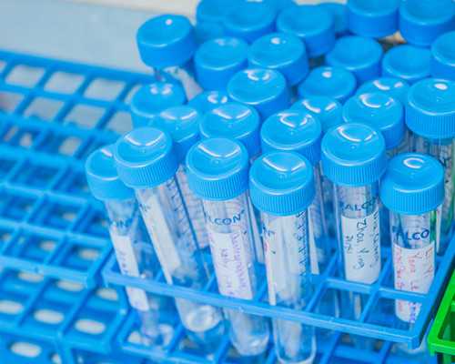 代生咨询，怀孕前三个月安胎食谱