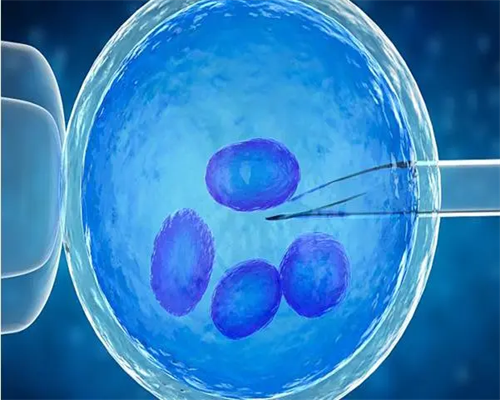 助孕公司服务，产后月经量太多怎么办,月经不来吃什么