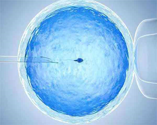 泰国试管是如何评估胚胎质量的？试管前调理身体！