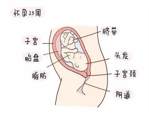 郑州助孕：“巾帼建新功 喜迎十九大”系列宣传