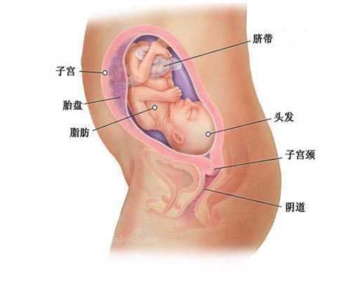 郑州助孕：“ 最毒妇人心”这句话在这代孕妈妈