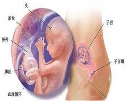 郑州助孕：“ 最毒妇人心”这句话在这代孕妈妈