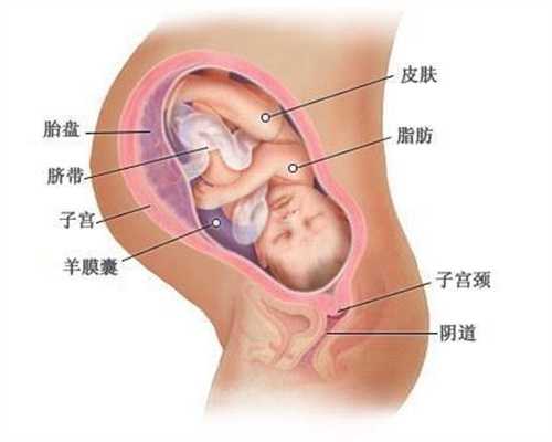郑州助孕：【B超胎心率有快有慢，究竟跟什么有