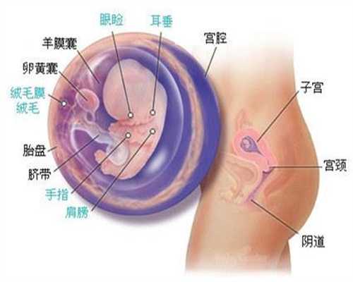 郑州助孕：【不同阶段胎动都是什么感觉？7月最