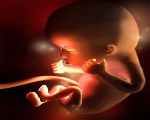 ：孕妇总在担心胎儿是否聪明？不如先从这2件事