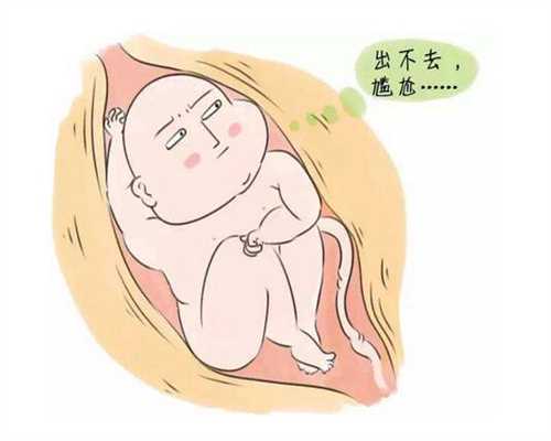 广州代孕包成功,要想代孕成功同房的时机与姿势