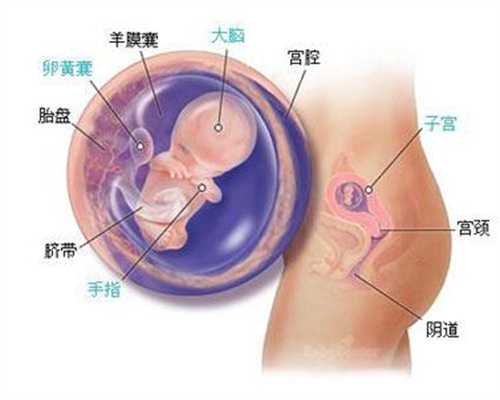 新疆代孕中心哪间权威-新疆代孕母亲网生男孩的