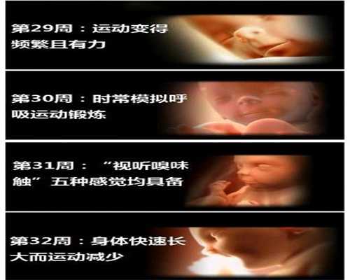 福婴国际助孕-广东代妈群捐卵-吃了紧急避孕药月