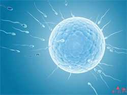 成都借卵试管代生孩子，精子成活率16%试管婴儿能受孕吗？