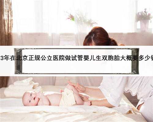 2023年在北京正规公立医院做试管婴儿生双胞胎大概要多少钱？