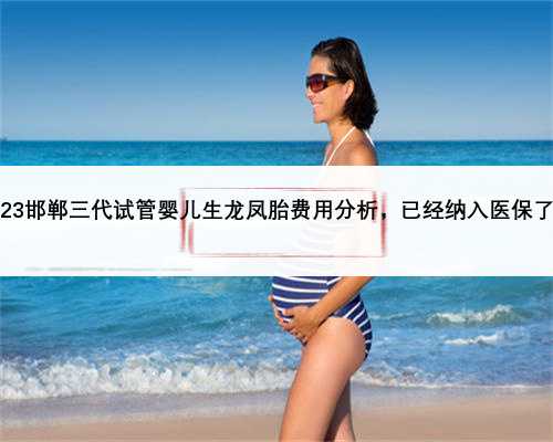 2023邯郸三代试管婴儿生龙凤胎费用分析，已经纳入医保了吗